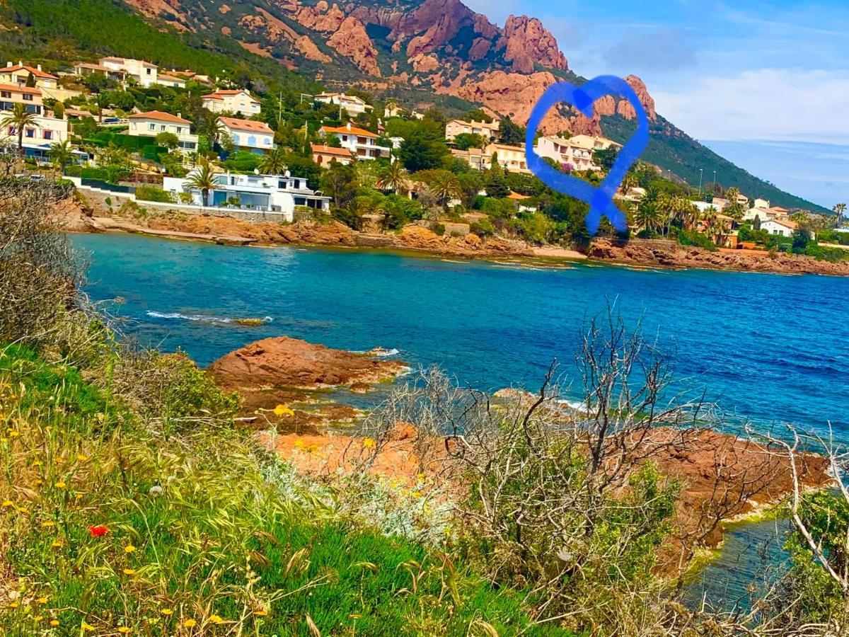 La Belle Vue-charming Duplex With Sea View, 50 Meters From And Private Parking Apartment *