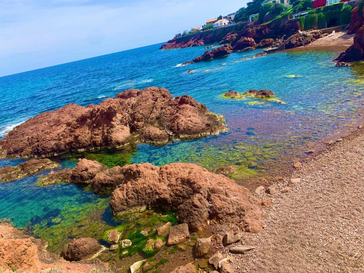 La Belle Vue-charming Duplex With Sea View, 50 Meters From And Private Parking *